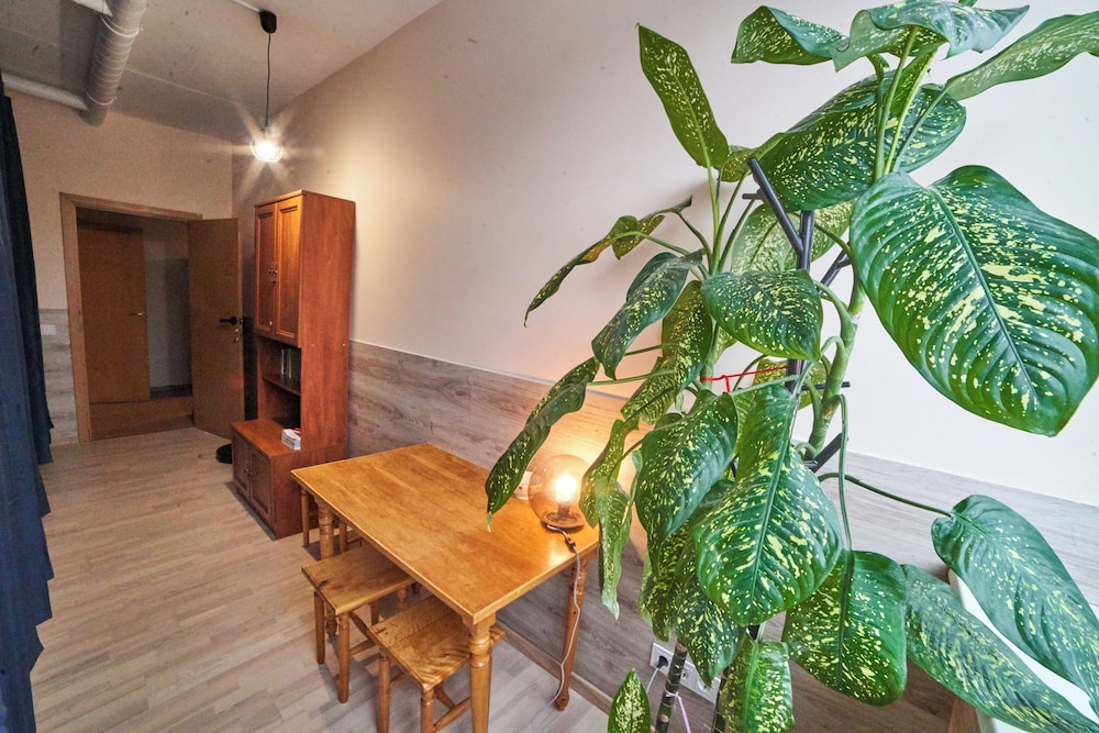 Tokyo Vibes Hostel with more privacy (Self Check in)