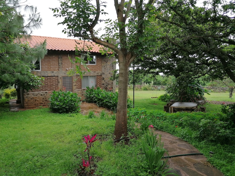 Photo 44