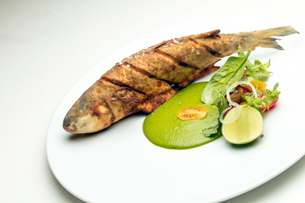 Isla Holbox Vacations - Ser Casasandra Boutique Hotel - Property Image 118