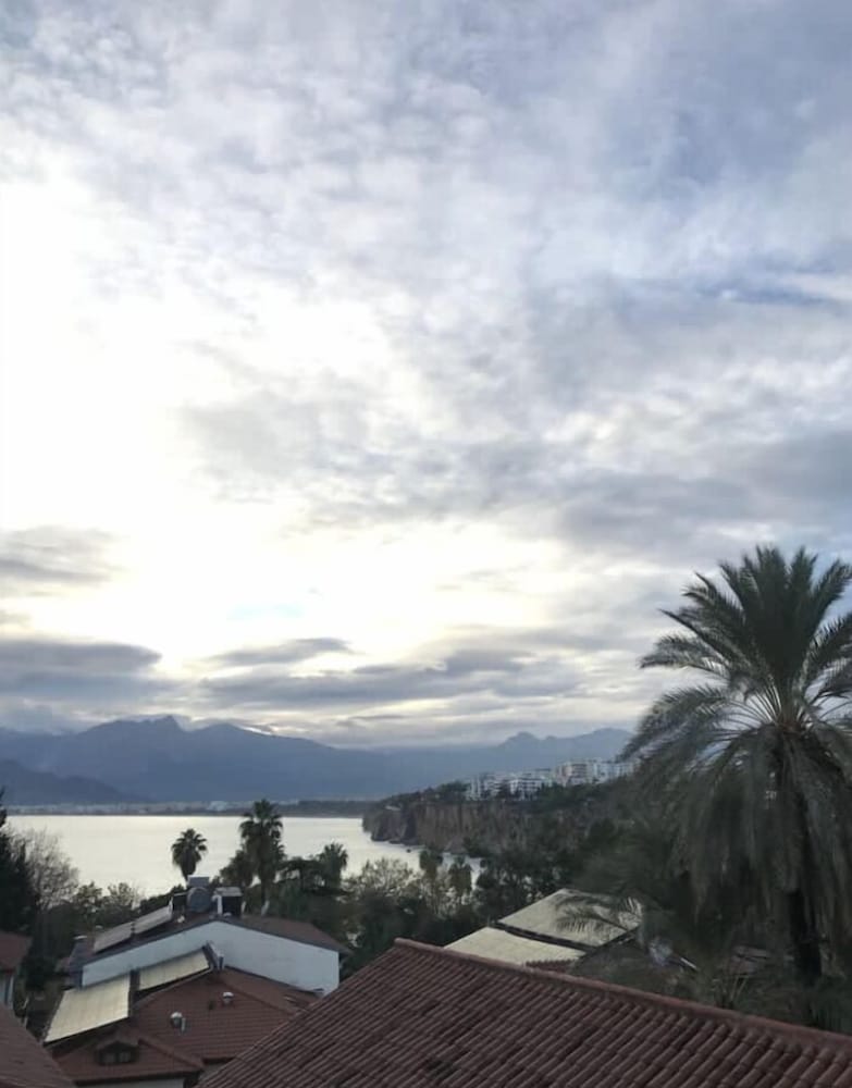 Villa Tulipan - Image 40