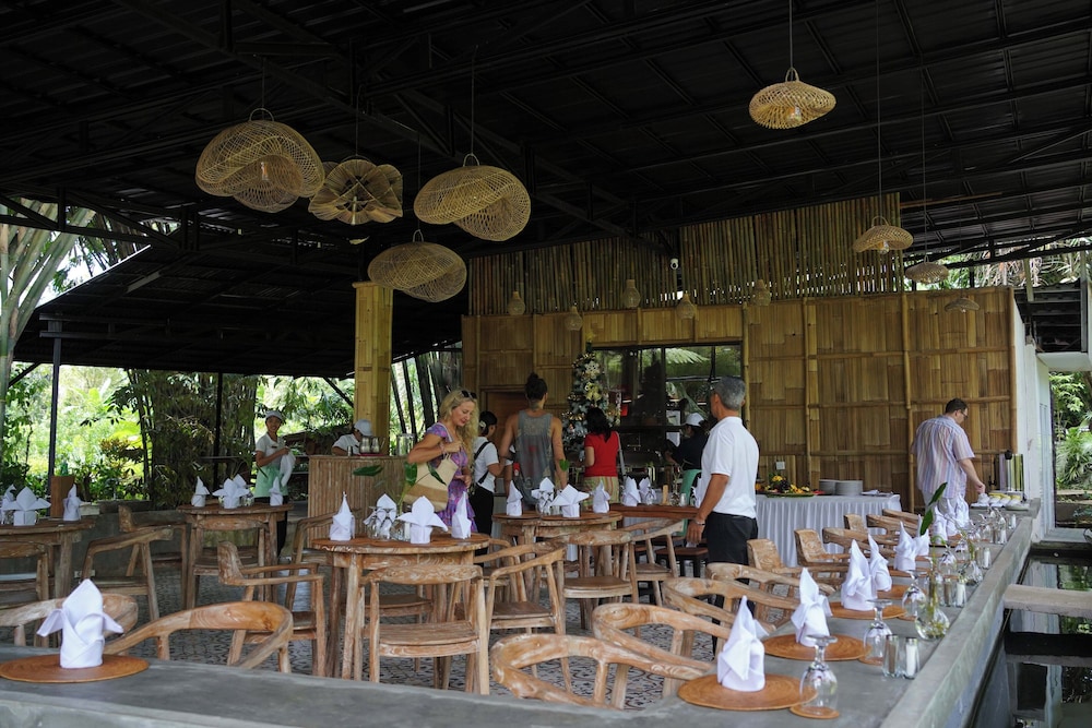 The Jungle Pots