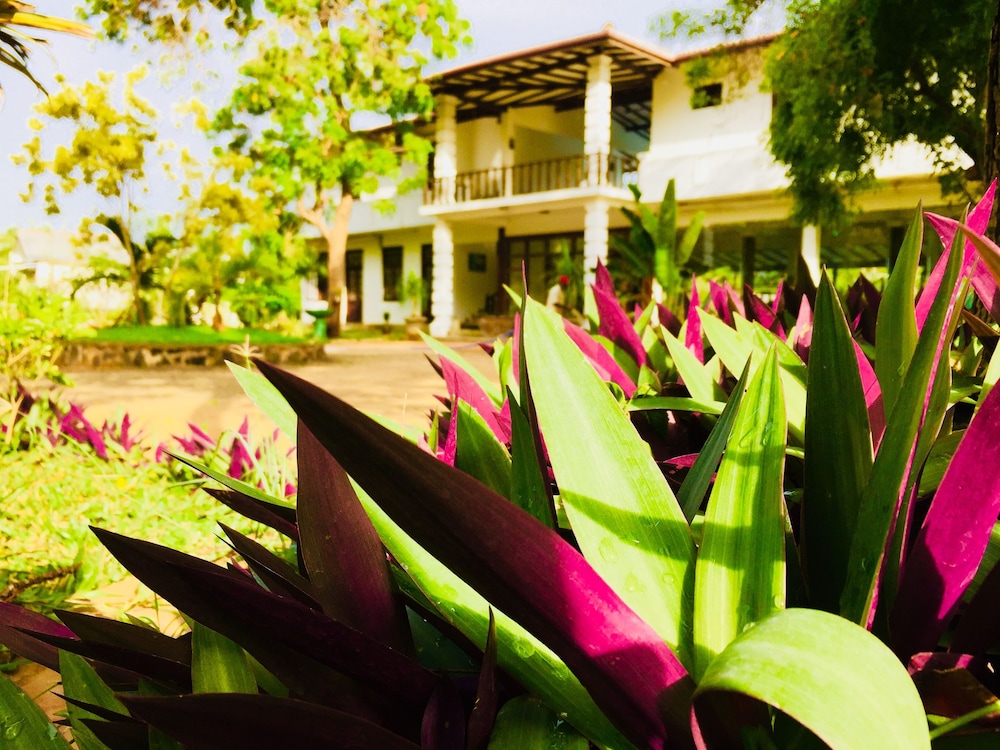 Saman Resort