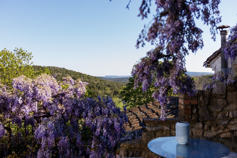 La Vieille Maison - Chambre et Halte Gourmande