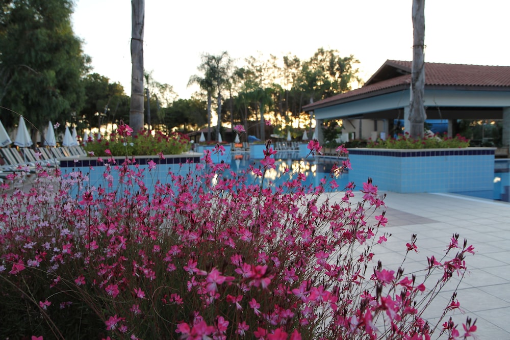 Champion Holiday Village - All Inclusive