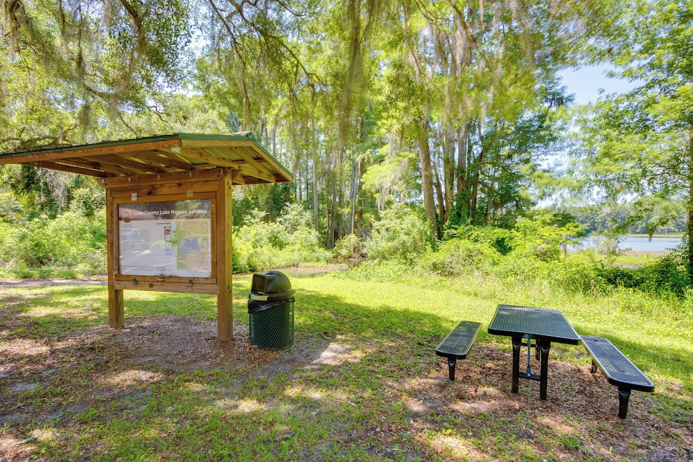 Walk to Lake Munson: Tree-filled Tallahassee Gem!