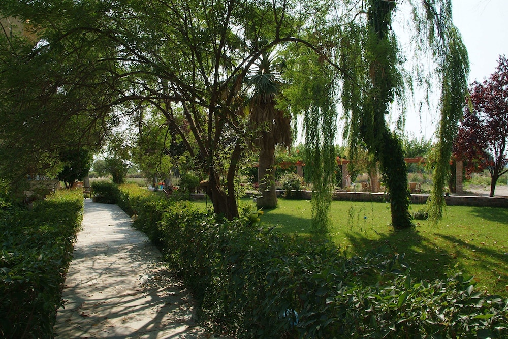 Photo 20