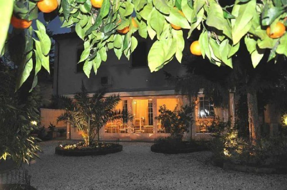 Il Mattino ha l'oro in bocca