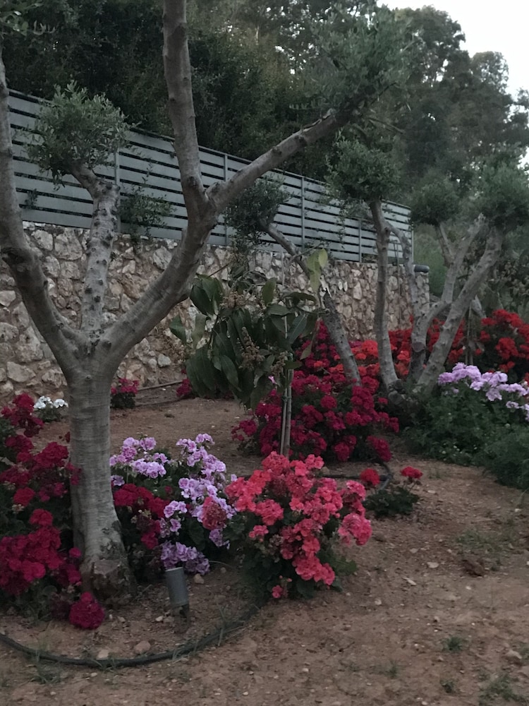 Physis Villas Chania