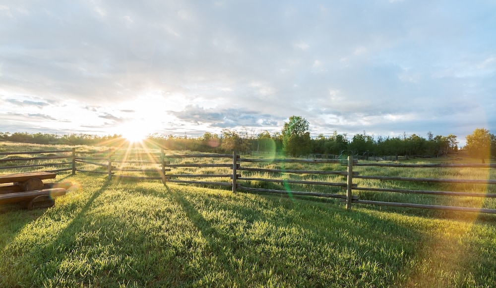 Meadow Lake Guest Ranch
