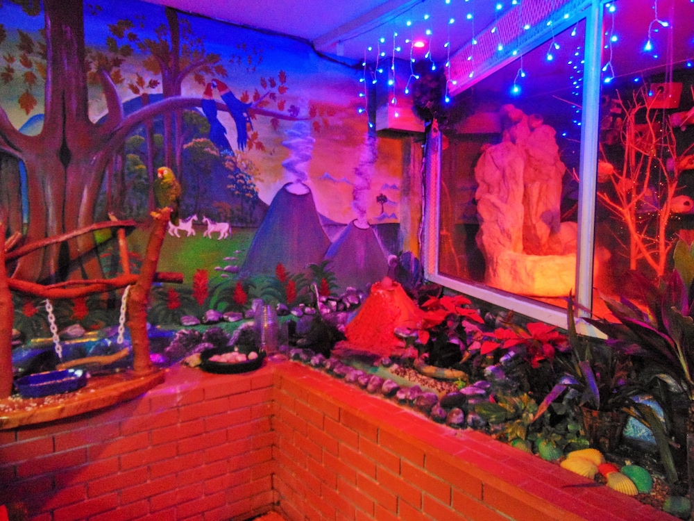 Casa Lima Bed Breakfast - Property Image 30