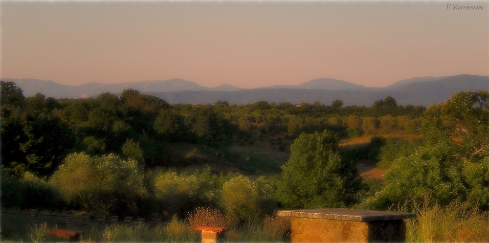 Il Maremmano