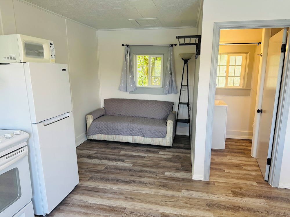 Raines Resort Cabins & RV view 4