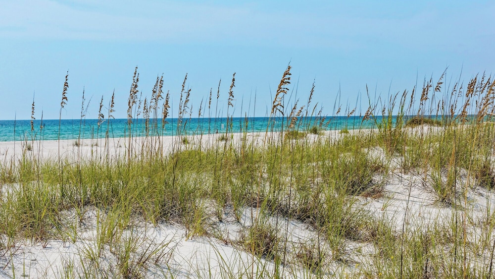 Inlet Beach Retreat With Rooftop Views, 4 Bikes + Free Attraction Tickets!