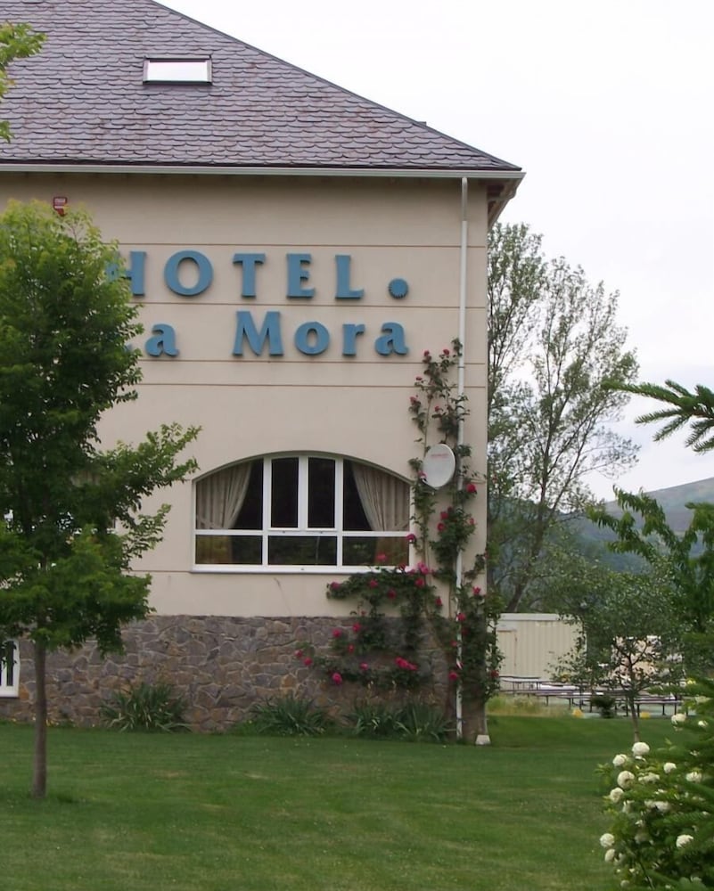 Hotel La Mora - Property Image 4