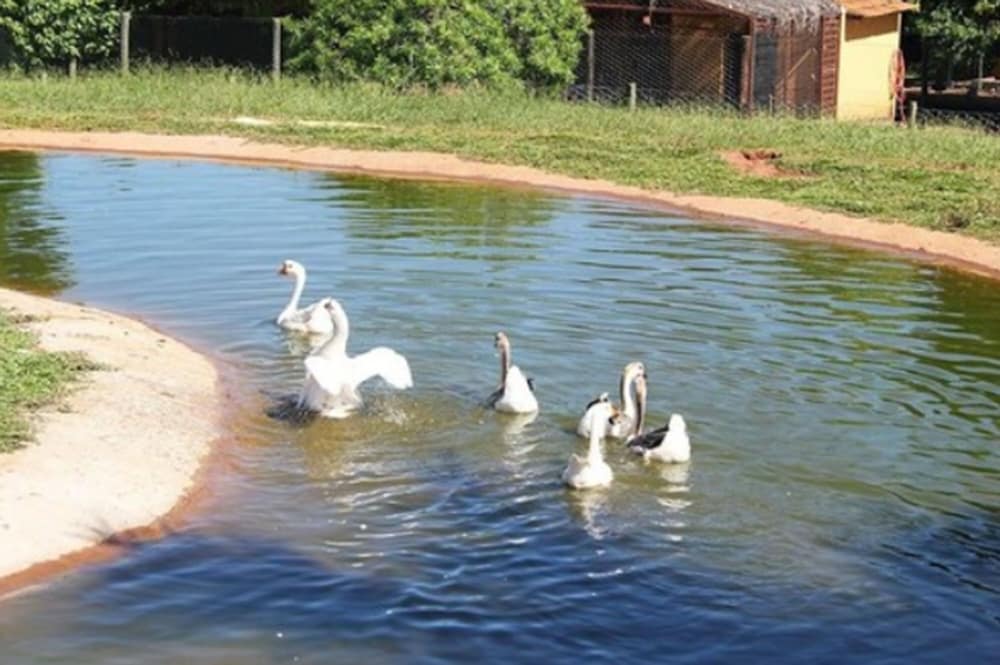 Hotel Fazenda Jacaúna