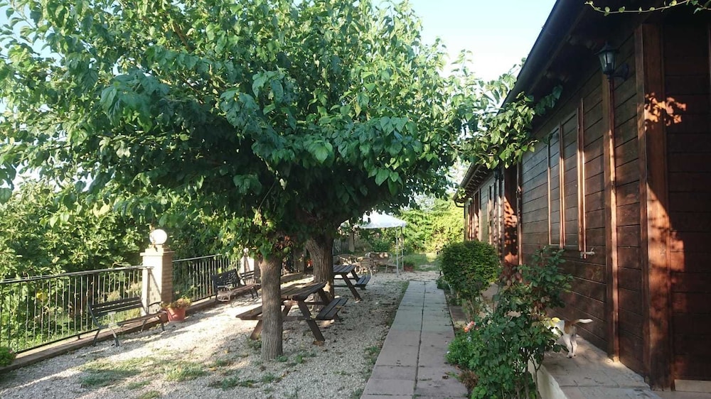 Agriturismo La Quiete view 2