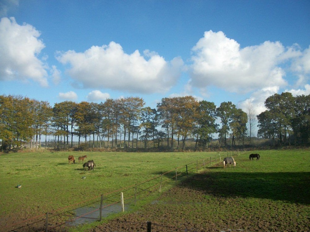Le Manoir de Briquedalles