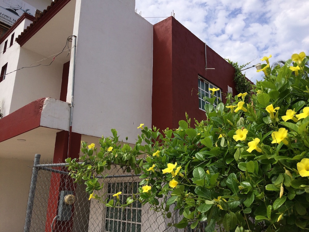 Photo 20