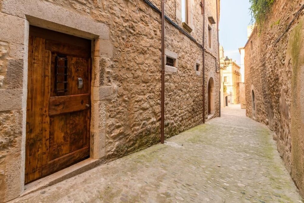 AS Palau dels Alemanys