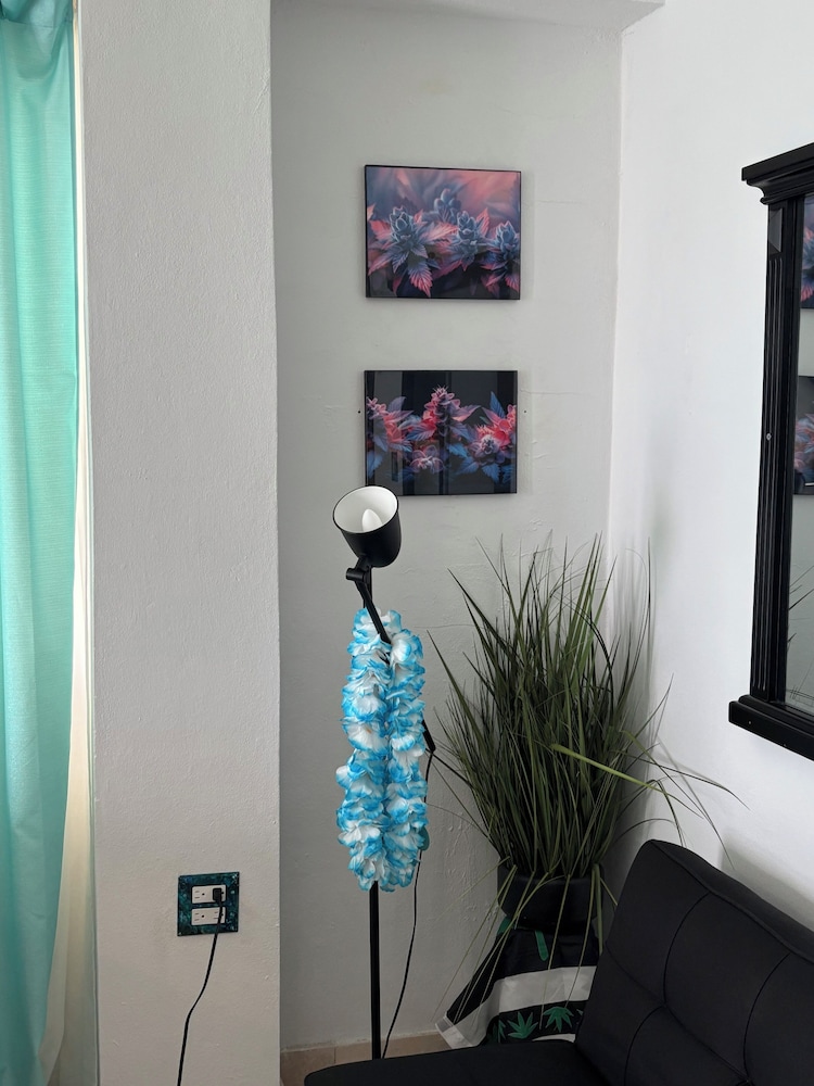 BednBong Experience Stay