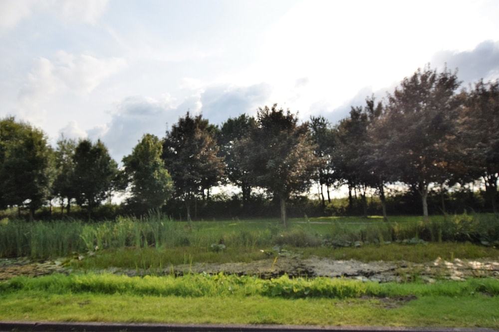 Cottage Near Bourtange With Hot Tub view 5