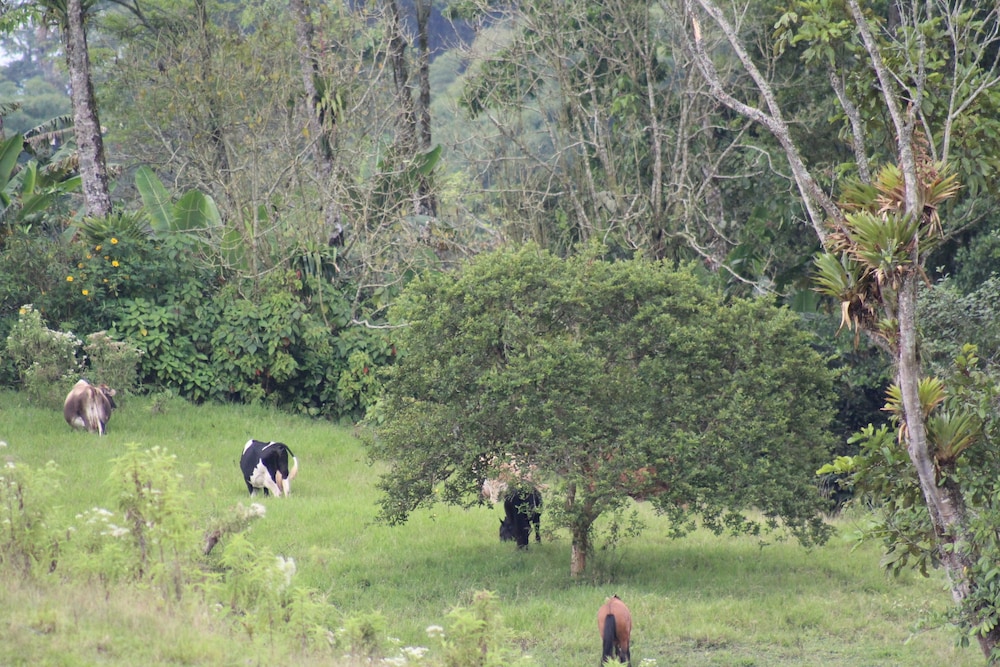 Rancho Ventura
