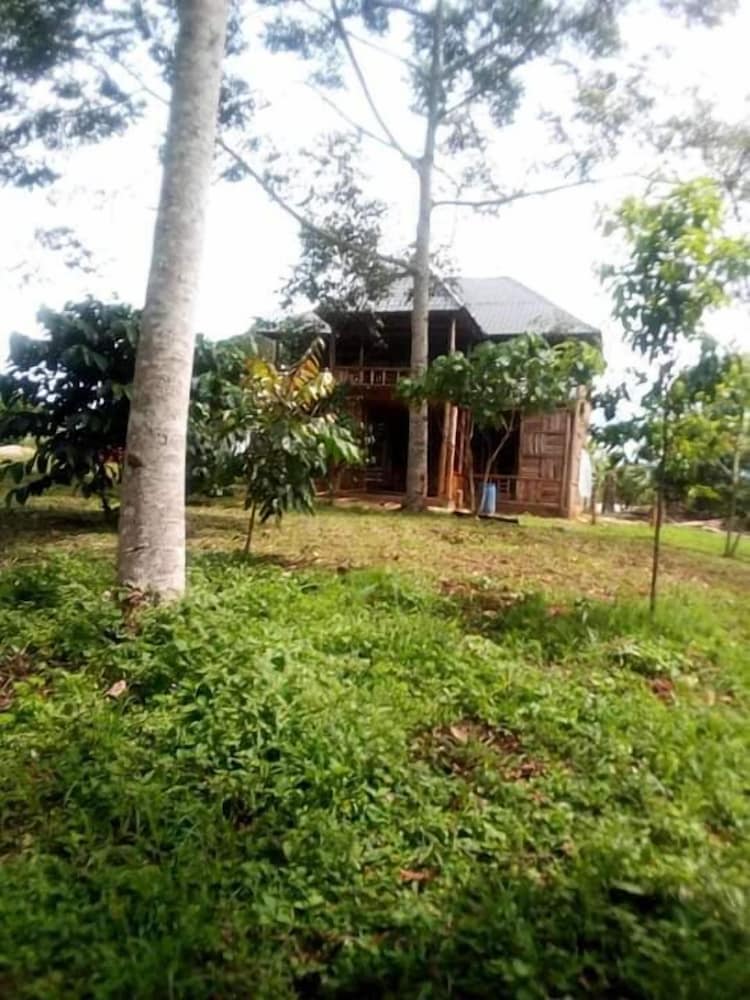 Jungle lodge Kibale view 4