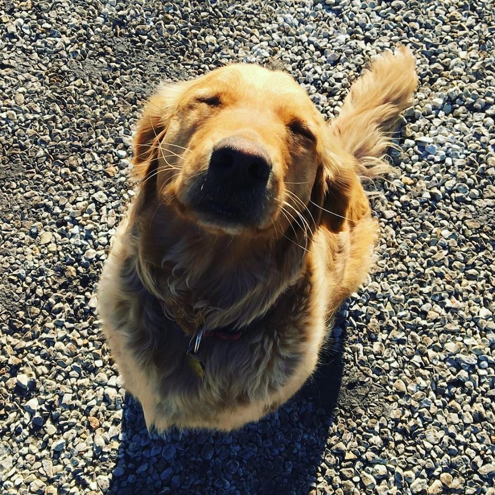 Lawrence Vacations - Circle S Ranch - Property Image 35