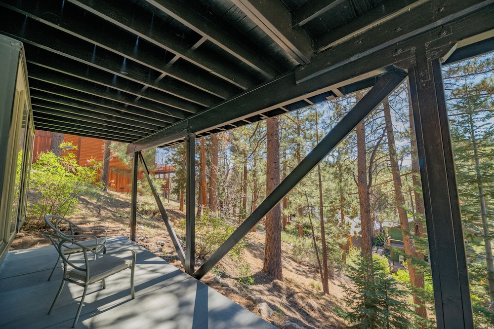 Forest Escape