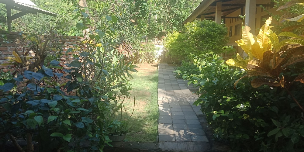 Photo 10