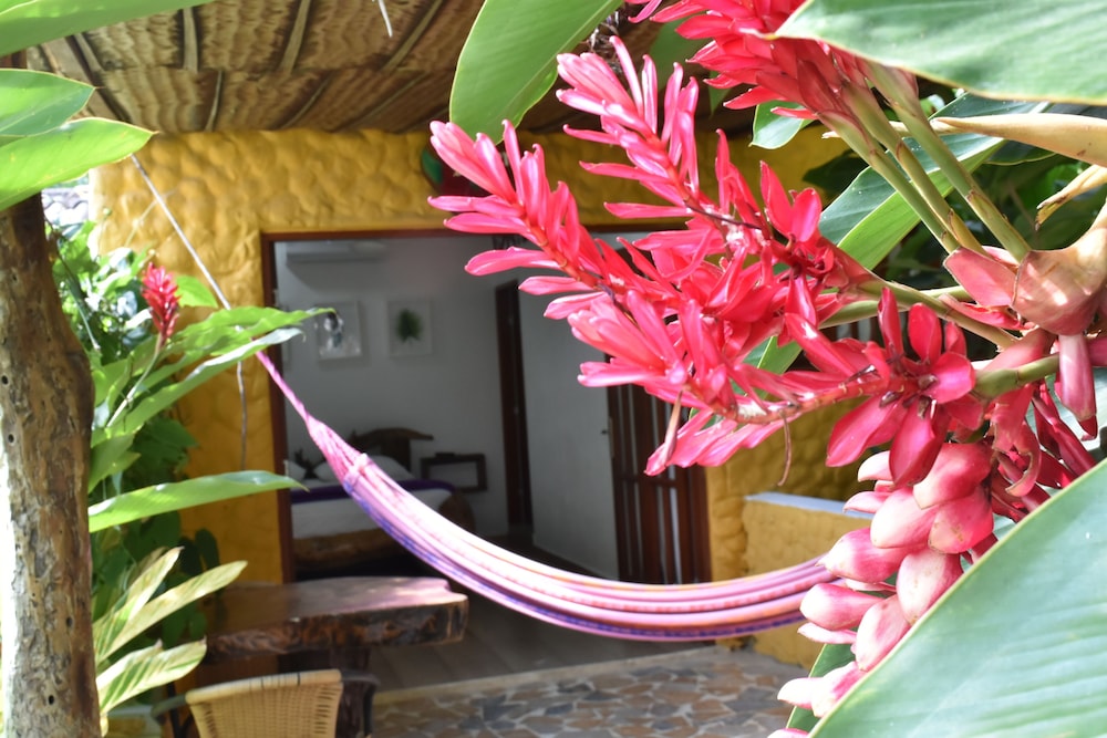 eco hostal kuima view 2