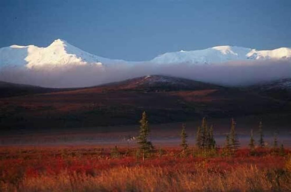 Earthsong Lodge