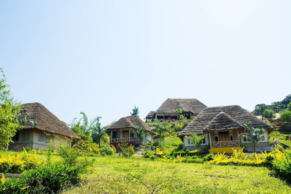 The Baboon Safari Resort