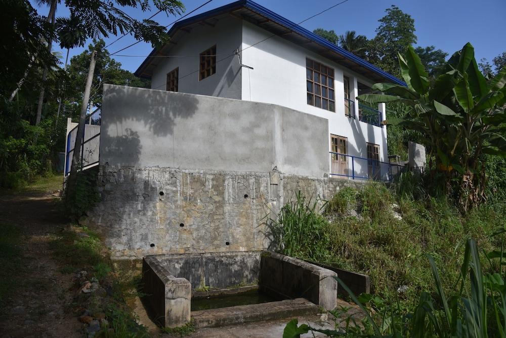 Bird's House