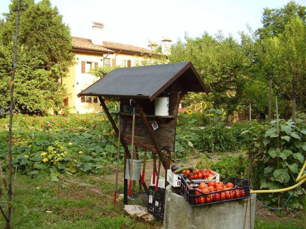Casa Delser