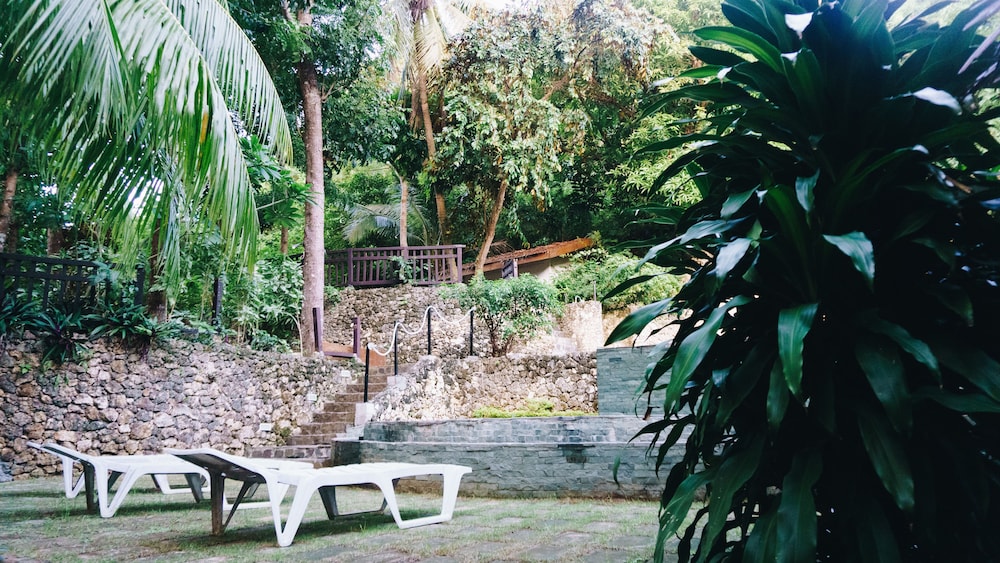 Photo 34