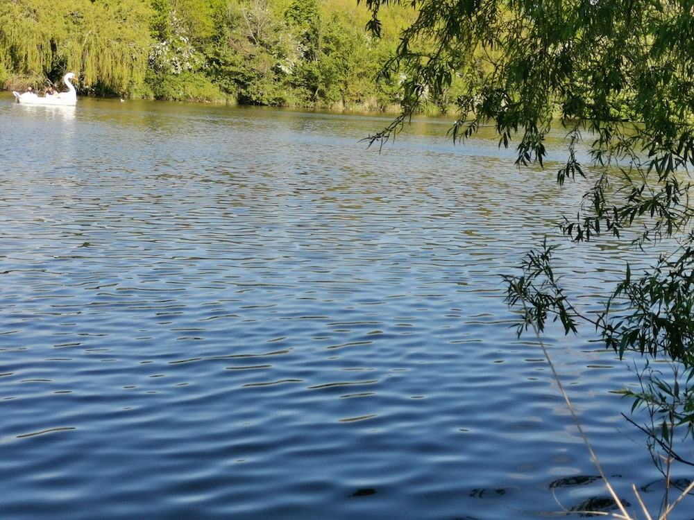 Photo 42