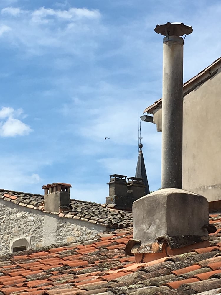 Les Asphodeles