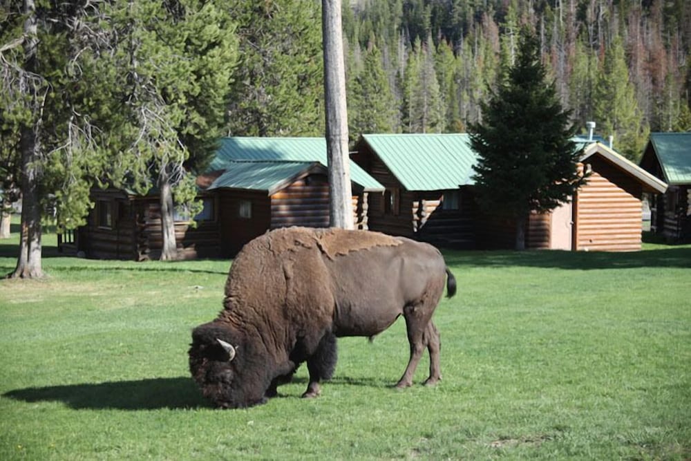 Pahaska Tepee Resort