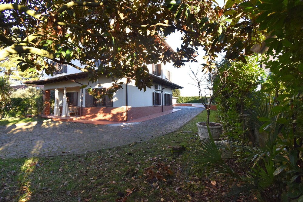 Photo 22