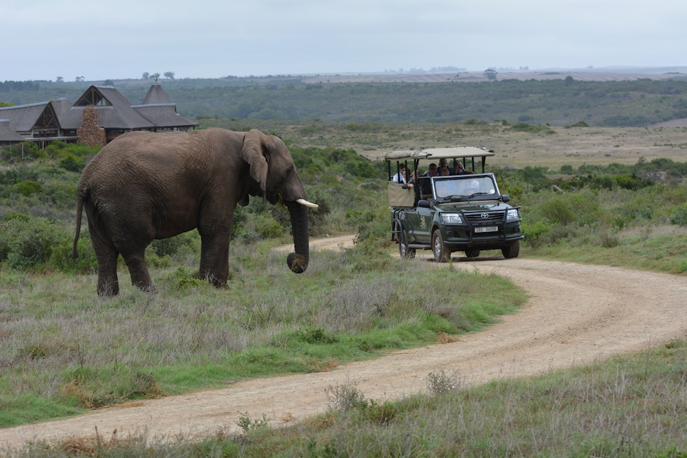 Garden Route Game Lodge view 5