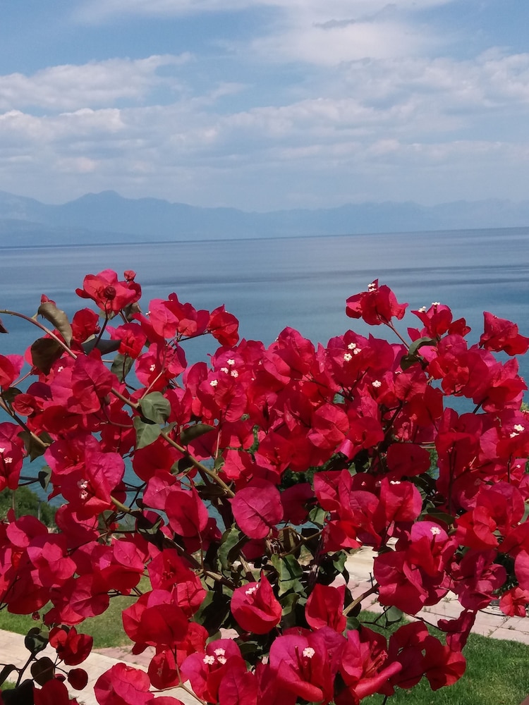 Panorama beach