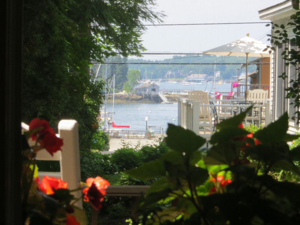 Atlantic Ark Inn - Property Image 6