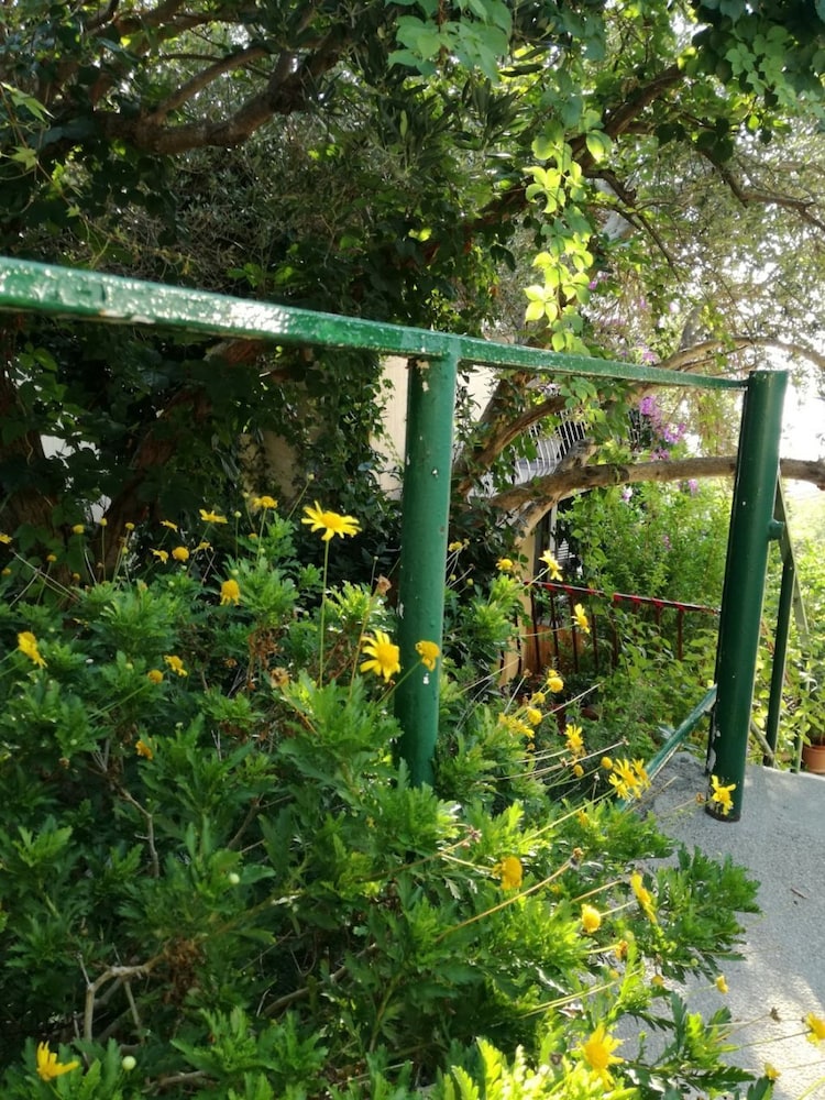 Photo 22