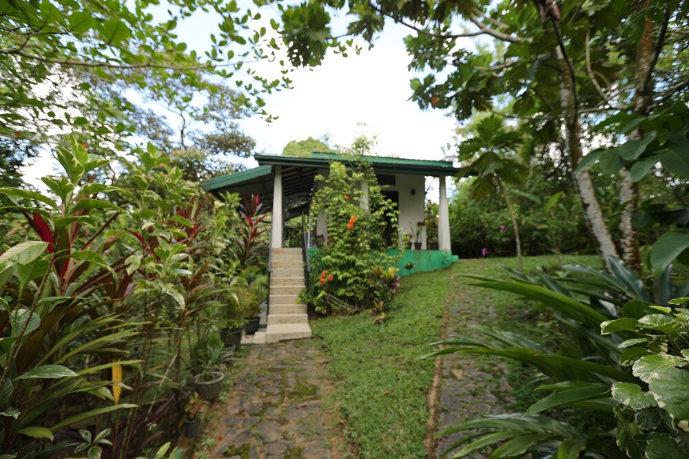 Sinharaja River Lodge
