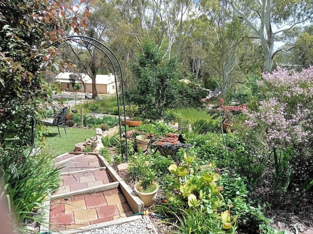 Riesling Trail and Clare Valley Cottages