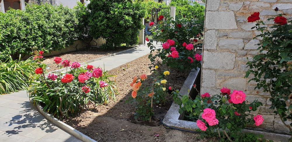 Photo 25