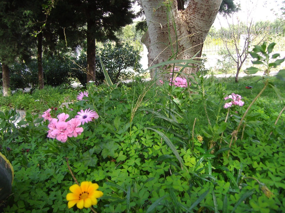 Photo 21