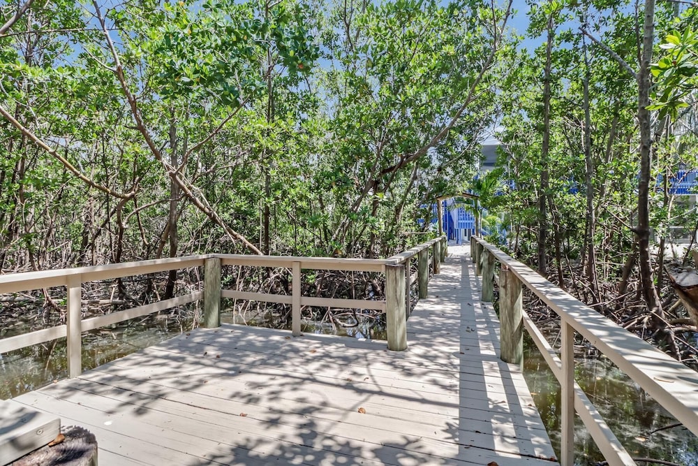 Flamingo Bayou A
