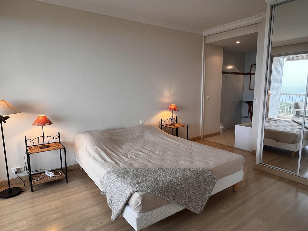 Large Light and Modern 2 Bedroomed Apartment in Cannes With Sea Views Pool and Lovely Terrace - 1503